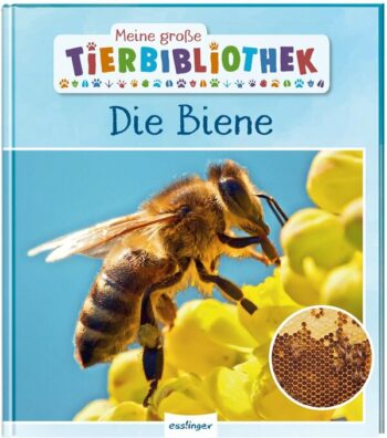 Starosta, Paul: Meine große Tierbibliothek: Die Biene. Sachbuch für Vorschule & Grundschule.