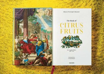 Lauterbach, Iris: J. C. Volkamer. The Book of Citrus Fruits – Bild 3