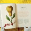 Lauterbach, Iris: J. C. Volkamer. The Book of Citrus Fruits – Bild 5
