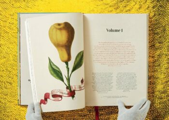 Lauterbach, Iris: J. C. Volkamer. The Book of Citrus Fruits – Bild 5