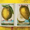 Lauterbach, Iris: J. C. Volkamer. The Book of Citrus Fruits – Bild 6