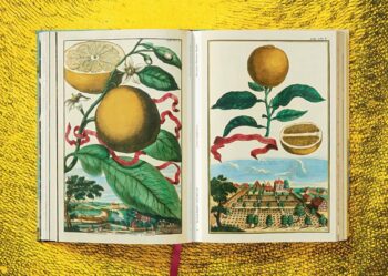 Lauterbach, Iris: J. C. Volkamer. The Book of Citrus Fruits – Bild 7