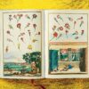 Lauterbach, Iris: J. C. Volkamer. The Book of Citrus Fruits – Bild 8