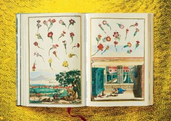 Lauterbach, Iris: J. C. Volkamer. The Book of Citrus Fruits – Bild 8