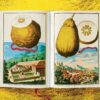 Lauterbach, Iris: J. C. Volkamer. The Book of Citrus Fruits – Bild 10
