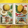 Lauterbach, Iris: J. C. Volkamer. The Book of Citrus Fruits – Bild 11