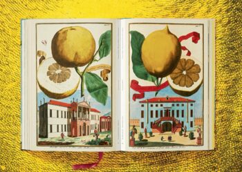 Lauterbach, Iris: J. C. Volkamer. The Book of Citrus Fruits – Bild 11