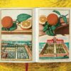 Lauterbach, Iris: J. C. Volkamer. The Book of Citrus Fruits – Bild 12