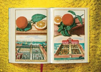 Lauterbach, Iris: J. C. Volkamer. The Book of Citrus Fruits – Bild 12