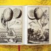 Lauterbach, Iris: J. C. Volkamer. The Book of Citrus Fruits – Bild 13