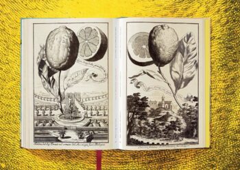 Lauterbach, Iris: J. C. Volkamer. The Book of Citrus Fruits – Bild 13