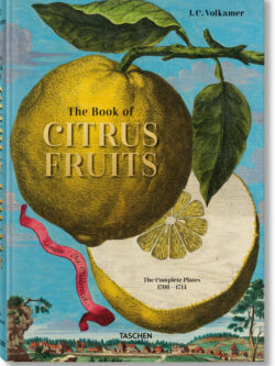 Lauterbach, Iris: J. C. Volkamer. The Book of Citrus Fruits